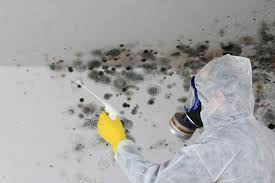 Best Emergency Mold Remediation  in Upland, IN